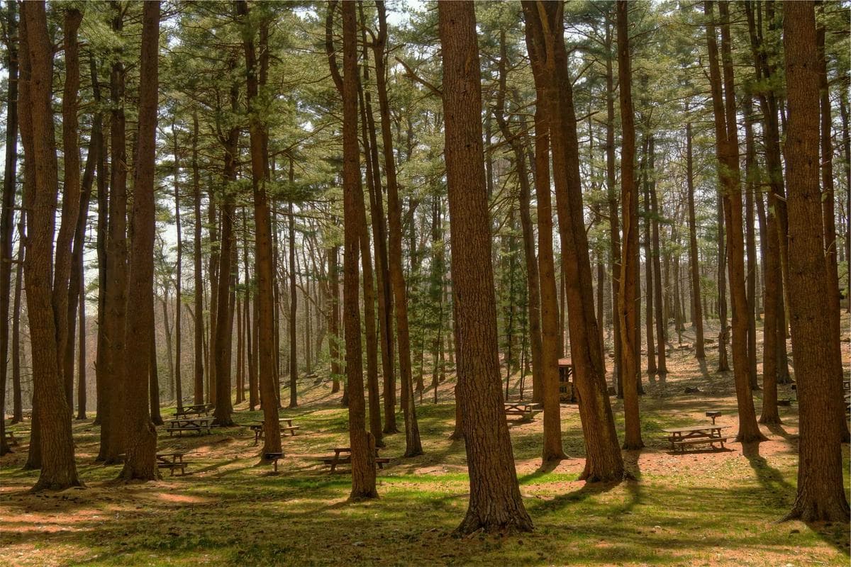ক্রিকেট প্রস্তুতি শুরু